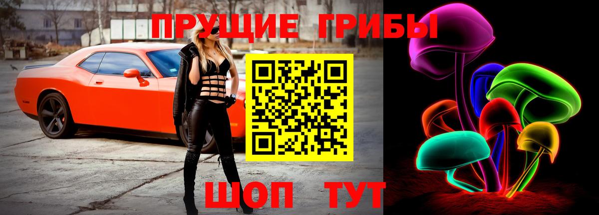 Галлюциногенные грибы прущие грибы  Галлюциногенные грибы мухоморы  Павлово  Вход с VPN 